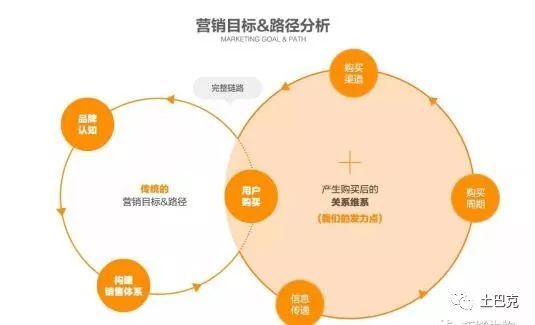 互聯網+合作社 新型農業開啟致富新篇章，數據處理服務成為關鍵引擎