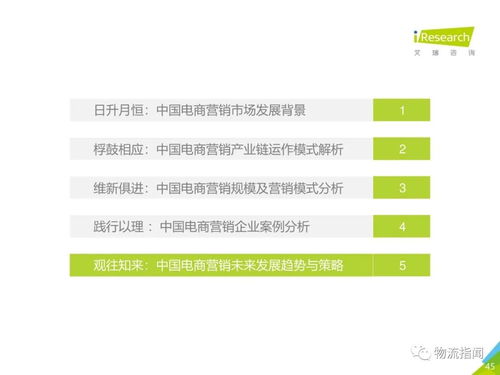 2020中國電商市場營銷研究報(bào)告 市場經(jīng)營策劃與增長策略